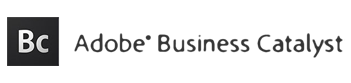 Business Catalyst logo