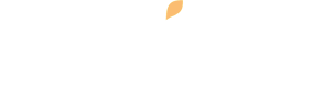 Wix logo